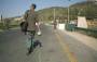 francis-alys-green-line-2004.jpg