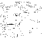 image1.gif